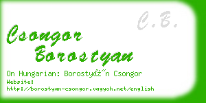 csongor borostyan business card